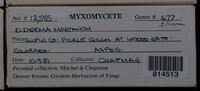 Image Associated With the Occurence